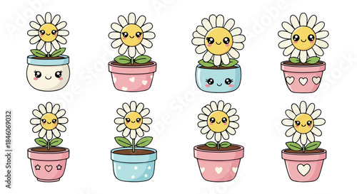 Daisy flowers in pots with happy faces
