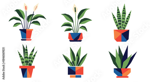 Potted plants collection in modern geometric pots