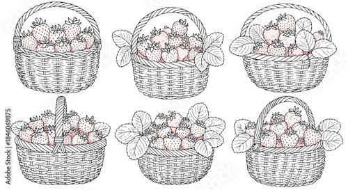 Strawberries in baskets collection outline style