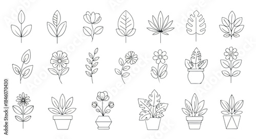 Botanical line art collection with transparent background