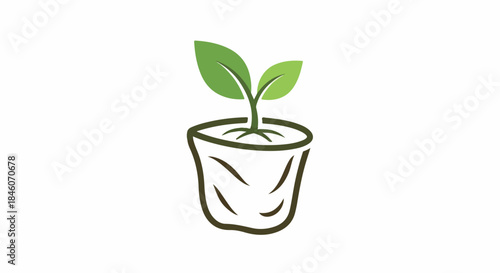 Plant in pot with transparent background