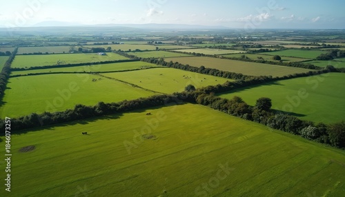 Aerial view of lush green farm fields and pastures in rural Ireland. Patches of trees divide the land. Cattle graze peacefully on sunny day. Remote countryside with gentle hills.