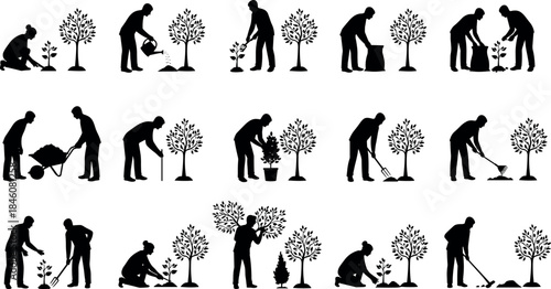 flavector tree planting silhouette sequence – digging, watering, pruning, and caring for saplings with tools
