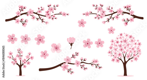 Set of beautiful pink cherry blossom elements, including blooming branches, individual flowers, and full sakura trees for spring designs.