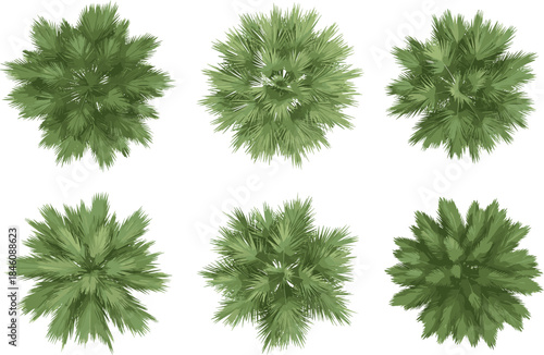 Set of six green palm tree top view icons for landscape design, architectural site planning, garden mapping, and tropical vegetation visualization.