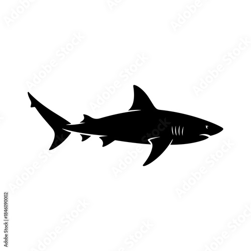 Angry Shark Vector Silhouette Design
