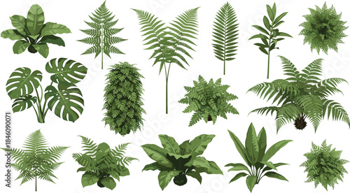 Tropical plant collection illustration, lush green foliage set, exotic leaf varieties artwork, decorative botanical greenery pack, indoor and outdoor garden elements