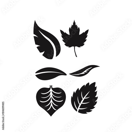 This elegant black and white floral design is ideal for decorative borders, logos, or vintage-inspired graphic designs, featuring intricate detailing and curved leaves