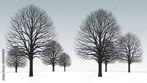 Bare trees stand in a snowy landscape under a gray sky with hints of blue and green