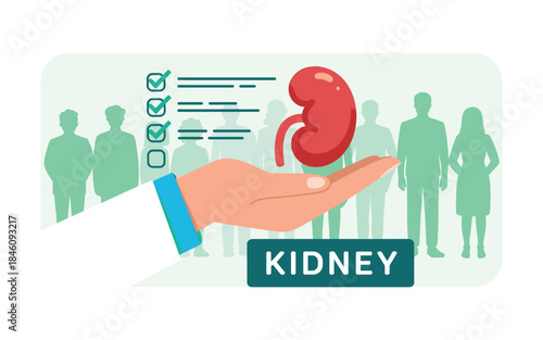 Kidney donation concept with hand holding organ