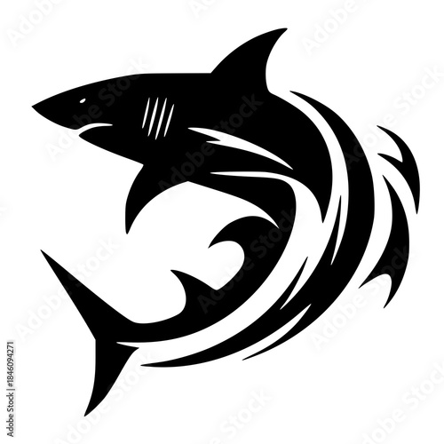 vector illustration of a shark , shark vector illustration 