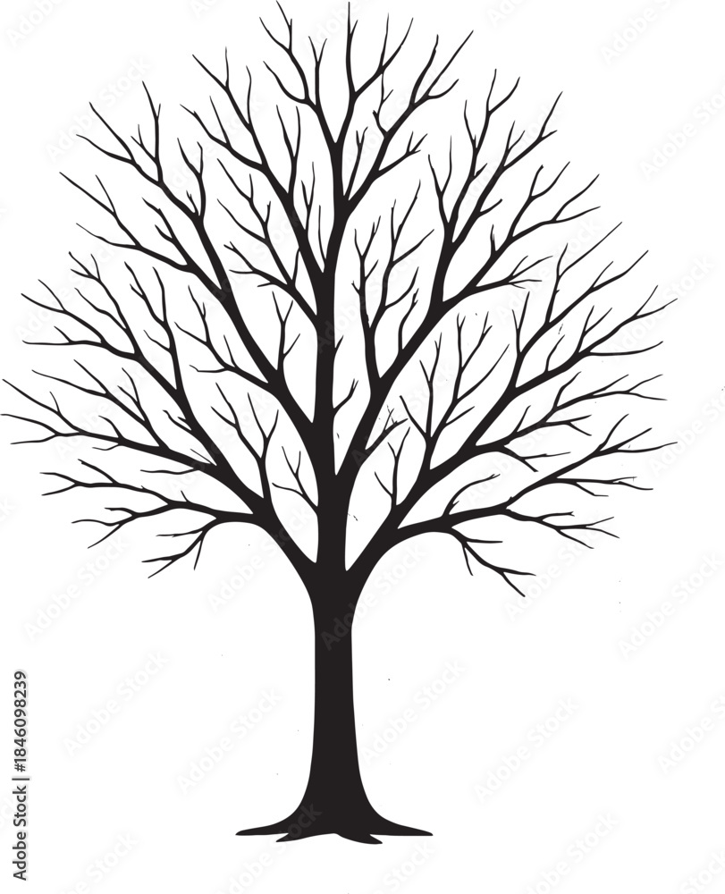 Obraz premium Bare Winter Tree Silhouette Vector – Leafless Dramatic Flat Black HD Design