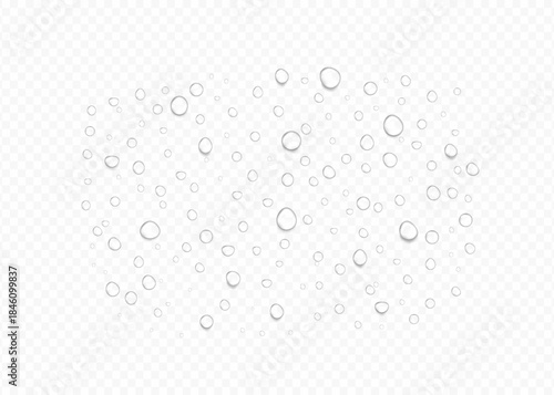 Realistic Water Drop Background with Transparent Droplets, Moisture Condensation, Splash Texture, Dew and Raindrop Effect for Clean Liquid Design