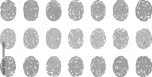 Collection of diverse human fingerprint patterns used for security and identification purposes