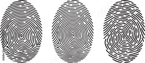 Three detailed black human fingerprint patterns showing unique swirls and loops on a clean white surface