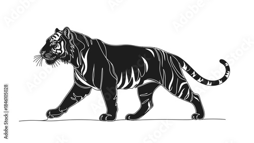 Stylized Black and White Illustration of a Powerful Tiger Walking Calmly