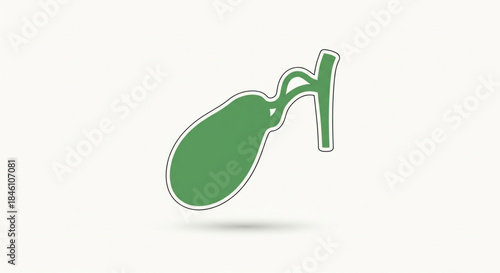 A simple green illustration of a gallbladder, a small organ responsible for storing bile
