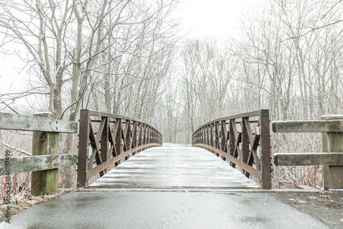 Wooden bridge in the park at winter