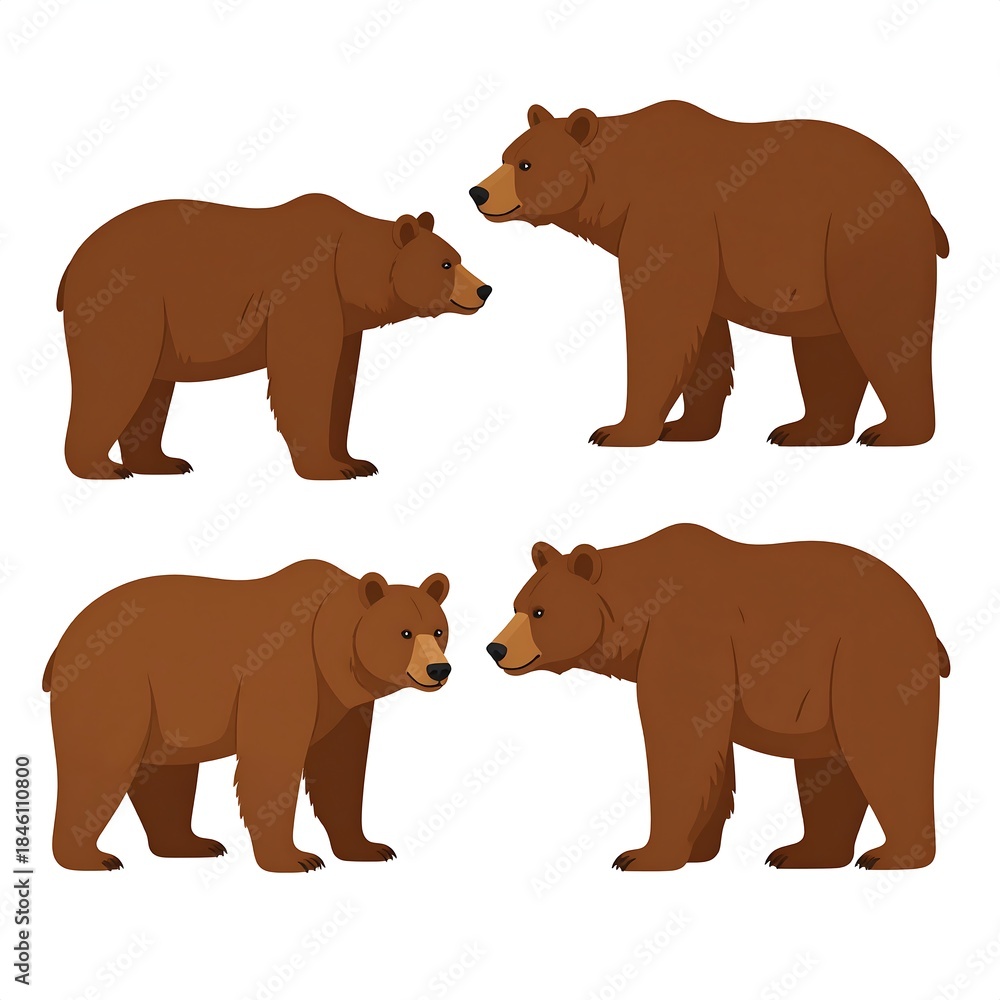 Fototapeta premium Four brown bears in various stances, on a white backdrop, created using flat, two-dimensional illustration