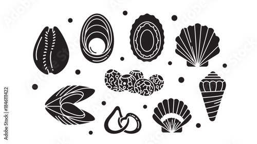  Intricate seashell silhouettes featuring barnacles cone shells scallops and mussels for coastal nature study marine biology illustrations and beach inspired arts and crafts design project assets.