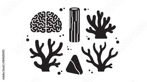 Diverse coral reef silhouettes including brain coral branching sea fans and underwater rock formations for marine ecosystem illustrations environmental conservation and tropical aquarium decorations.