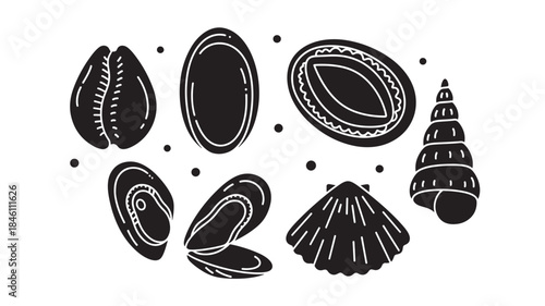  Collection of various seashell silhouettes including cowrie mussel scallop and spiral turritella shells for marine biology study beach combing hobby and ocean themed graphic arts and craft projects.