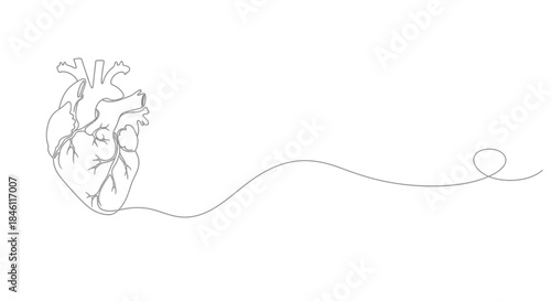 Minimalist continuous line drawing of a human heart with a flowing line extending to the right on a white background