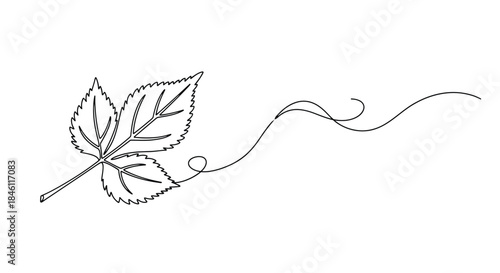 Elegant single line drawing of a delicate leaf with a swirling vine extending into a graceful curve on a white background