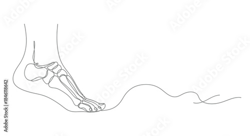 Minimalist continuous line drawing of human foot bones and ankle joint showing skeletal structure and anatomy