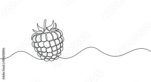 Minimalist single line drawing of a fresh raspberry fruit with wavy lines on a white background