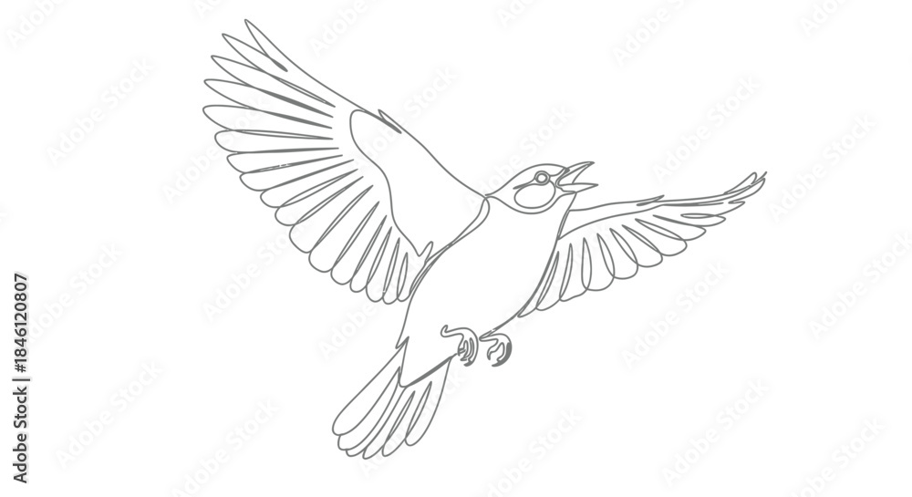 Obraz premium Minimalist single line drawing of a bird in flight with wings spread wide and beak open