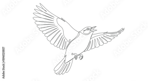 Minimalist single line drawing of a bird in flight with wings spread wide and beak open