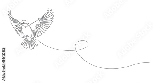 Elegant single line drawing of a small bird with wings spread wide in mid flight leaving a flowing trail behind
