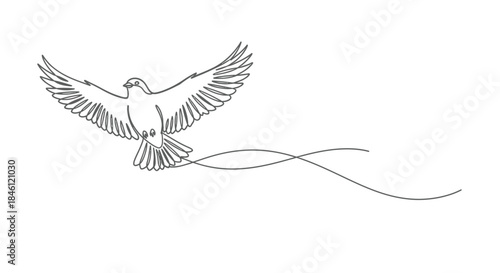 Elegant single line drawing of a dove in flight with outstretched wings and a flowing tail against a white background