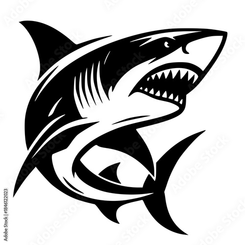 shark vector illustration , vector illustration of shark 