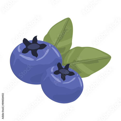 Illustration of Blueberries with Green Leaves