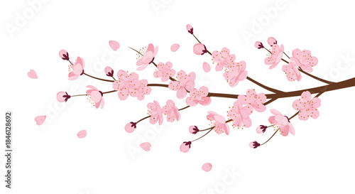 Beautiful branch of pink cherry blossoms in full bloom with delicate petals gently falling, symbolizing spring, beauty, and renewal in nature.
