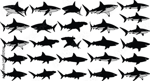 Collection of shark silhouettes in various swimming poses, marine predator illustration set, great white sharks, ocean wildlife design elements for nature themes