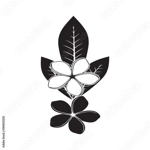 black and white flower