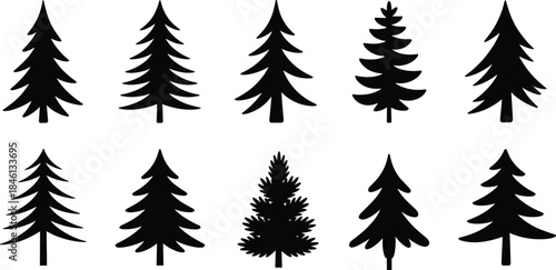 Pine tree silhouette set, conifer shapes collection, forest icon pack, evergreen tree design, nature graphic, botanical vector, woodland elements