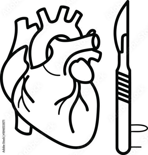 Human heart and scalpel line icon for cardiology surgery medical health design