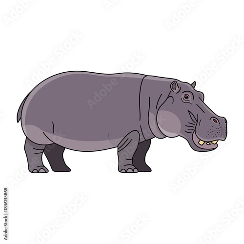 Cartoon illustration of a hippopotamus standing sideways