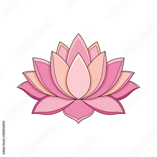 Pink lotus flower illustration