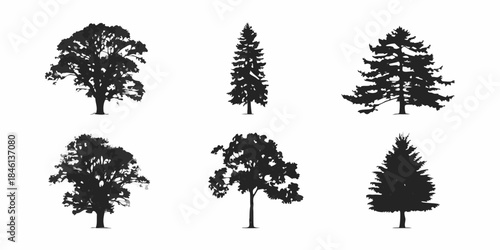 Silhouettes of various tree types displayed in a simple black and white style