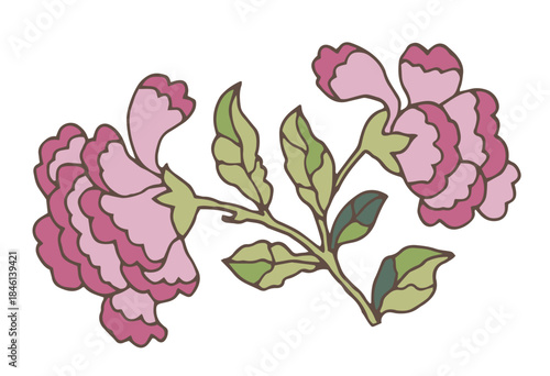 Peony flower duo on branch vector clipart