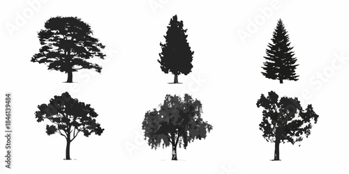 A collection of diverse tree silhouettes against a plain white background