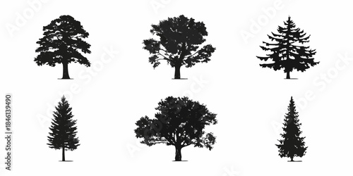 Silhouettes of various tree types against a plain white background