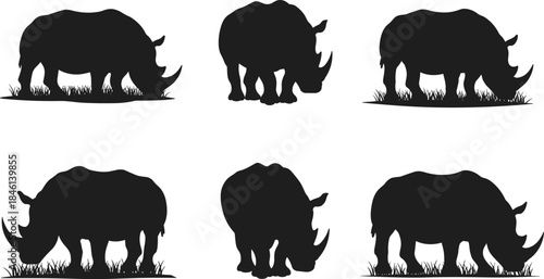 Rhinoceros silhouette collection in black, wild animal grazing poses, wildlife vector illustration set isolated on white background