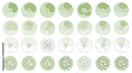 Grid of 30 circular diagrams showing progressive green and white growth patterns, visualizing cellular automata, fractals, plant-inspired transformations, mathematical evolution, complexity, and abstr