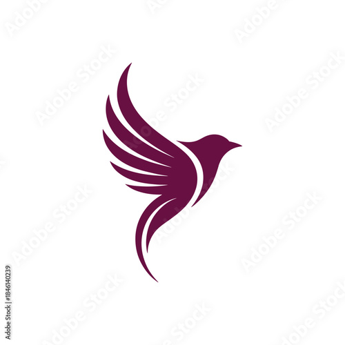 Abstract Bird Logo Vector Template Design